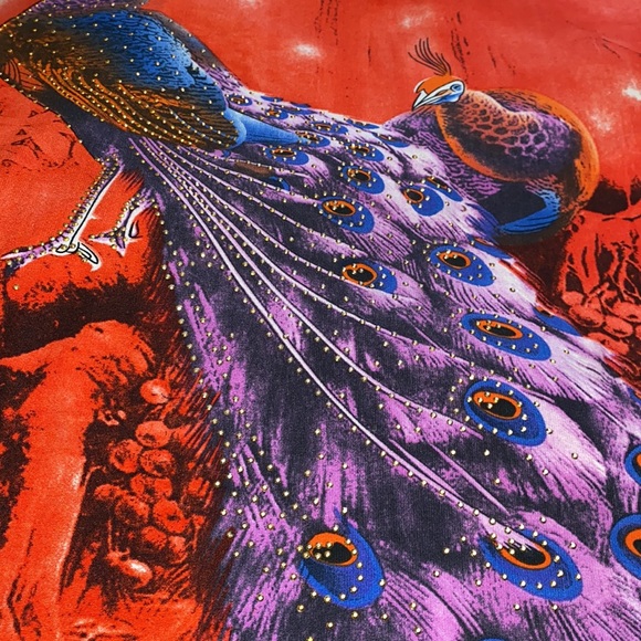 Beautiful Peacock Rhinestone Top - Picture 6 of 9